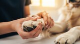 Female veterinarian holding a dog paw during exam. Woman doctor caring for pet in clinic. Animal health concept.
