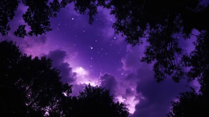 Wall Mural - Starry Night Sky