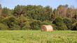 © sanek70974 - a bale of hay in the field