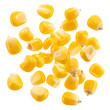 © UNeed - falling corn kernel isolated on white background