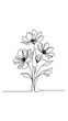© Ivan - Simple line art of flowers