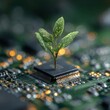 © komwut - Tech Renewal: An artful depiction of a tiny plant burgeoning from a circuit board. A harmonious merge of nature and tech, showing hope.