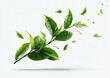 © syaqell - Fresh tea leaves, branch, flying leaves, bright green