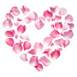 © looks it - Heart Shape Made of Pink Rose Petals pattern image
