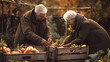 © Вікторія Білик - an elderly couple picking vegetables in the backyard, autumn tones, wooden boxes with pumpkins and carrots, warm clothes, loving teamwork, vegetable garden, harvest. Home economics, farm