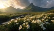 © Bi - Lush valley with white lilies and mountains
