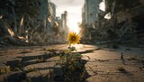A single sunflower blooms amidst urban rubble