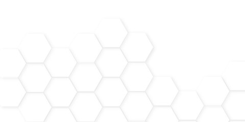 Wall Mural - Abstract background with hexagon, modern abstract vector polygonal pattern. Futuristic honeycomb mosaic white background,white and gray hexagon honeycomb geometric copy space.