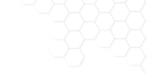 Wall Mural - Abstract background with hexagon, modern abstract vector polygonal pattern. Futuristic honeycomb mosaic white background,white and gray hexagon honeycomb geometric copy space.