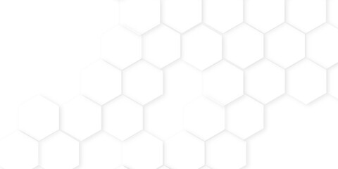 Wall Mural - Abstract background with hexagon, modern abstract vector polygonal pattern. Futuristic honeycomb mosaic white background,white and gray hexagon honeycomb geometric copy space.
