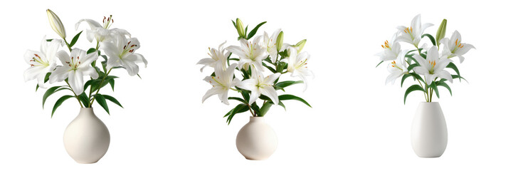 Three white lily bouquets in white vases on a isolated on a transparent background flowers