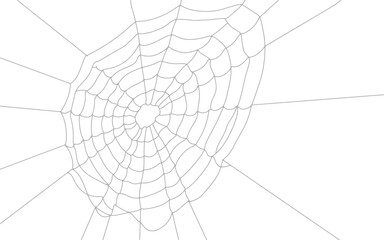 realistic round spider web pattern design, cobweb overlay on transparent background.