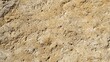 © Weather - Close-up view of a light beige, rough-textured stone surface with subtle variations in color and a slightly uneven, pitted surface