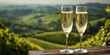 © Afsana - Two glasses of champagne and wine with grapes against vineyards in Aisne, France, overlooking rows of grapevines, rolling hills, and clear blue summer sky, perfect for wine concept