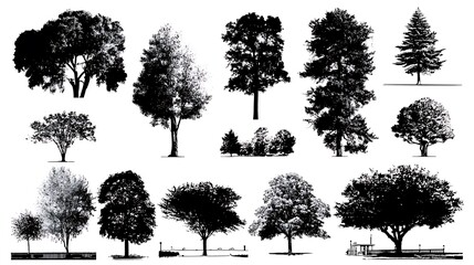 Collection of trees silhouettes isolated on white background
