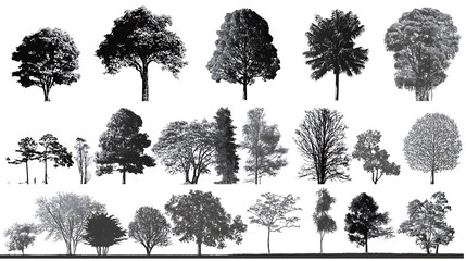Silhouettes of various trees isolated on white background