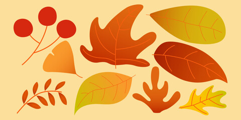 Autumn art with a botanical autumn set. Hand drawn design featuring leaves, and tree branch. Suitable for fall design elements. Vector
