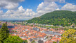 Summer panorama of Heidelberg showcasing vibrant rooftops and lush green hills