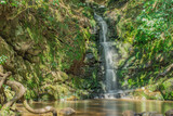 Agua