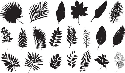 Collection of various tropical and deciduous leaf silhouettes silhouette