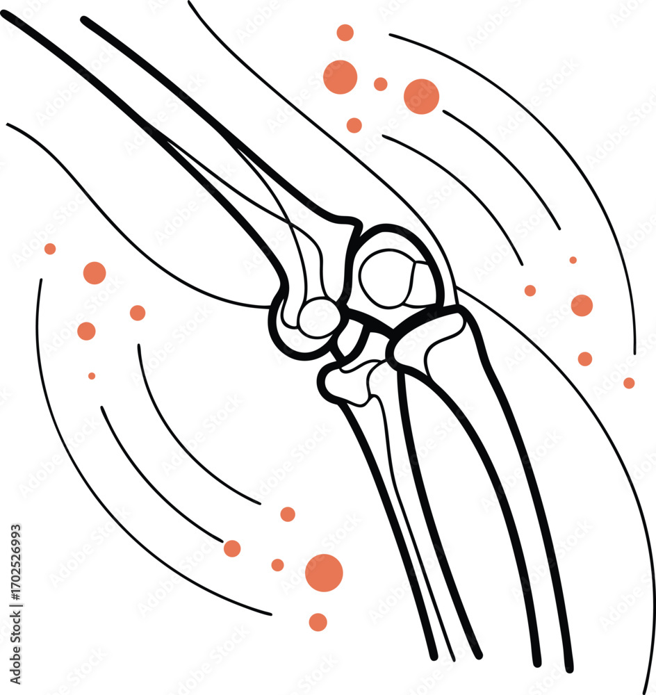 Knee Joint Movement Illustration, Knee Biomechanics and Anatomy, Human ...