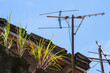 An old, rusty television antenna stands tall against a clear blue sky, overlooking the rooftops of Xian Guang Military Kindred Village Cultural Park in Taiwan. A nostalgic glimpse of the past.
