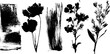 © Artem - Black ink silhouette collection of spring flowers and botanical elements for artistic designs