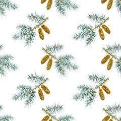 fir green natural forest pine tree needles branch pine cones greenery hand drawn watercolor illustra