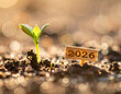 © Tossakan Photos - A seedling with dew on its leaves grows in the dirt beside a small sign marked 2026. Symbolizing growth, new beginnings, and optimism for the future.