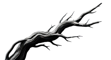 Monochrome depiction of a weathered tree branch against a stark white backdrop providing graphic
