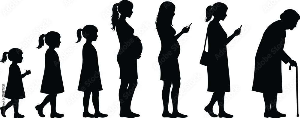 Stages of woman life cycle, silhouette progression, female growth ...