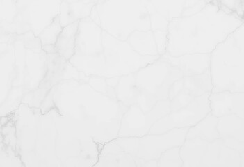 Wall Mural - Abstract white marble texture with subtle, veined botanical patterns resembling leaves and branches,  texture,  calm