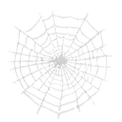 stock photo of spider web dewdrops white isolated background. clean background and simple style with