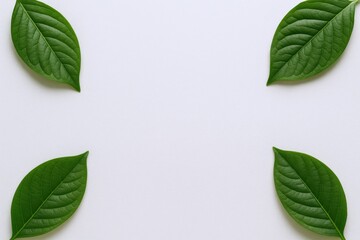 Wall Mural - Fresh Green Leaves Arranged on White Background, Representing Nature, Growth, and Minimalist Design