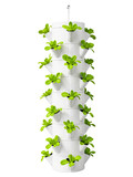 White vertical hydroponic garden tower with small green lettuce on a transparent background