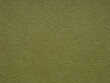 © Dmytro Synelnychenko - Mossy green paper texture with a soft, felt-like surface, evoking a sense of growth and renewal