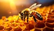 © Ratih - Close-up of honeybee on honeycomb