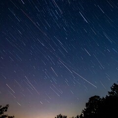 Wall Mural - Dramatic Meteor Shower Streaking Across a Starry Night Sky with Silhouetted Trees