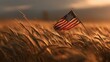 © Armin - American flag in a golden wheat field at sunset (2)