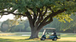 © HoneyStock - A golf cart sits under a large oak tree on a golf course on a sunny day in the countryside golf