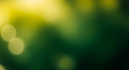 Canvas Print - soft focus green and yellow bokeh lights abstract background blur blurred