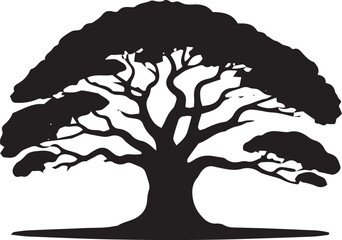 Majestic silhouette of an ancient tree with spreading branches and dense foliage