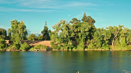 Wall Mural - Calm river flows by a tree-lined bank under a bright blue sky on a peaceful and sunny afternoon