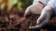 © Muhammad - Chemistry research agriculture scientist analyzing soil samples in lab sustainable farming scientific crop development environmental chemistry