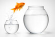 © Ram - Goldfish jumping from small bowl to big bowl, concept of opportunity growth and success, motivation leap for progress, change and achievement in life, business challenge overcoming barrier and ambitio