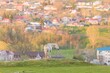 A beautiful white horse grazes peacefully on a green hilltop. A small European town sits in the valley behind the horse, bathed in the warm light of the setting sun