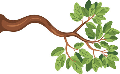 Brown tree branch with lush green leaves on white background