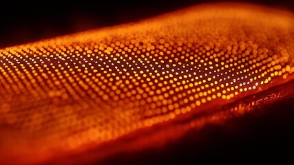 Wall Mural - Glowing orange object with detailed texture and dark background.