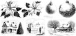 © Artem - Vintage holiday illustration set: poinsettias, ornaments, snowy house, and winter scene for festive design