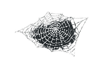 Textured spider web net on transparent background. Vector hand drawn illustration
